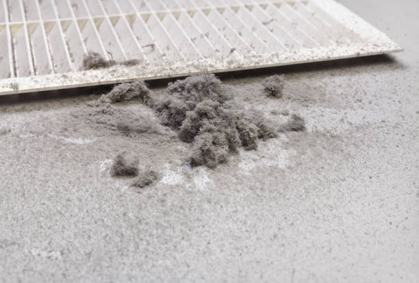 Best Commercial Air Duct Cleaning  in Lynden, WA