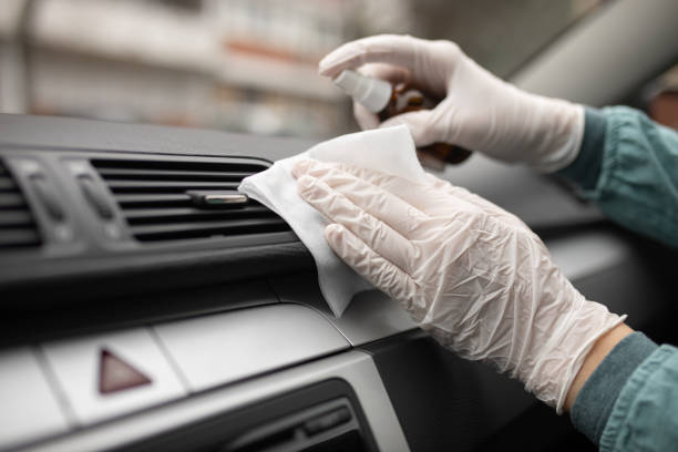 Best Air Duct Mold Removal  in Lynden, WA