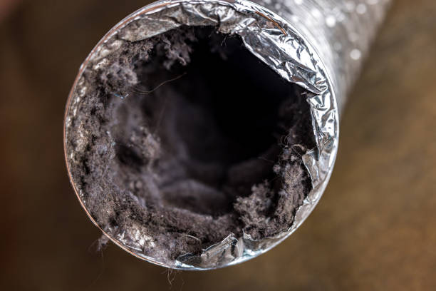 Best Air Duct Cleaning Near Me  in Lynden, WA